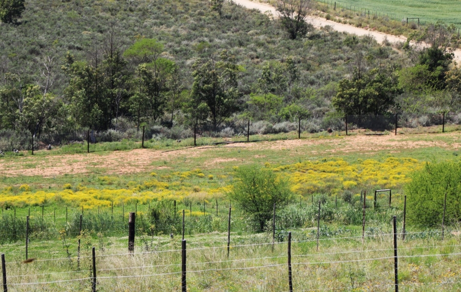 Commercial Property for Sale in Uniondale Rural Western Cape